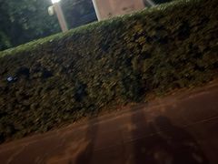 -凤凰中心