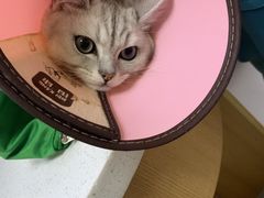 -联合动物医院(光谷诊疗中心)