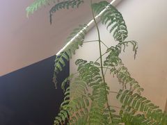 -素禅棋牌会所(海阳路店)