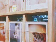 -猫的天空之城概念书店(印象城购物中心店)