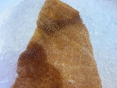 -小龙坎老火锅(北京三里屯店)