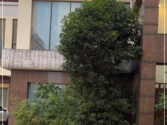 门面-张家港国贸酒店·餐厅
