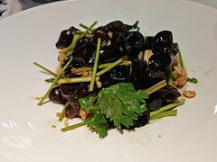 -洞庭家宴·头牌甲鱼(广渠门店)