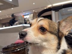 -M Stand(宁波万象城店)