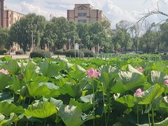 -哈尔滨师范大学(松北校区)