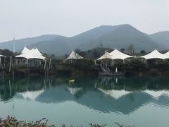 -帐篷客·溪龙茶谷度假酒店