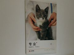 -艾贝尔宠物医院·24H转诊中心·肿瘤猫专科(江宁双龙店)