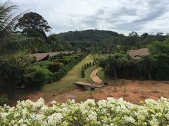 -椰树岛海滩度假村