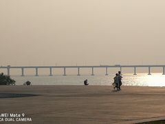 -宝安西湾红树林湿地公园