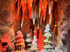 -正佳自然科学博物馆