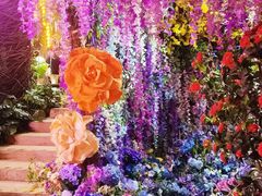 -正佳雨林生态植物园