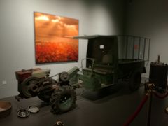 景点-上海长兴岛郊野公园