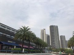 -碧桂园十里银滩