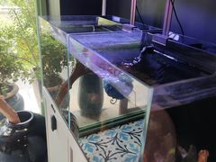 -咕嘟草帽鱼·牛奶一样的鲜鱼汤(天鹅湖万达广场店)
