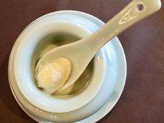 奶汁鲍仔-羲和雅苑•北京烤鸭(平安国际金融中心店)