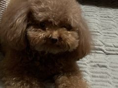 -乐宠宠物店(世纪金源店)