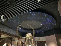 -呼伦贝尔民族博物馆