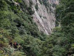 -青峰峡国家森林公园