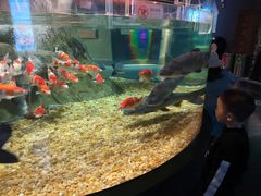 -成都浩海立方海洋公园