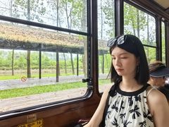 -合肥滨湖国家森林公园