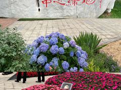 -陆家嘴中心绿地