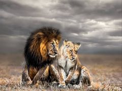 -罗红摄影艺术馆