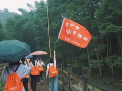 -凤栖山