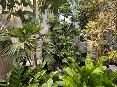 -双季花艺园艺市场(浦东店)