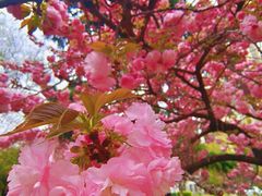 -西安理工大学(金花校区)