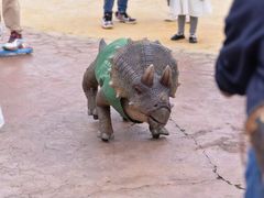 -世界恐龙谷景区