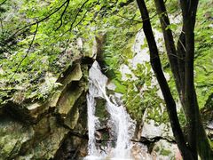 -秦岭风景区