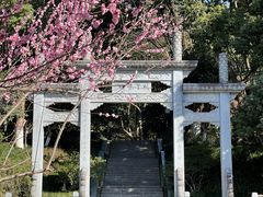 -杭州半山国家森林公园