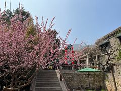 -香山公园