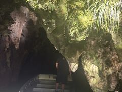 -怀托摩萤火虫洞