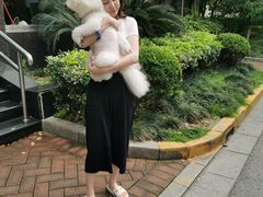 -顽皮家族宠物医院(浦东北园路分院)
