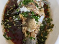 -宾湖农庄·农场特色(太湖龙之梦店)
