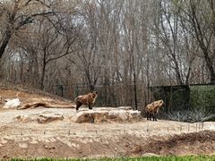 -北京野生动物园