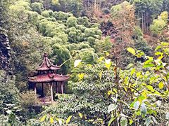 -夏霖九天银瀑风景区