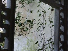 -杭州植物园