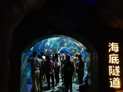 -福州罗源湾海洋世界旅游区