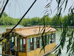 -泗洪洪泽湖湿地景区