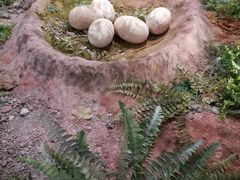 -湖南省地质博物馆