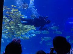 -太平洋海底世界