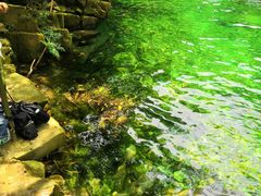 景点-紫云谷景区