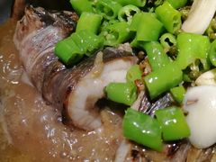 -鱼酷活鱼烤鱼(沈阳大悦城店)