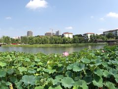 -西海子公园