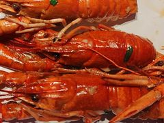 -奔海甄选·活鲜刺身铁板烧自助(太原里店)