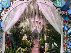 -正佳雨林生态植物园