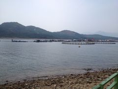 iphone_upload_pic-南丫岛
