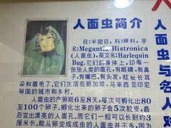-上海大自然野生昆虫馆(东方明珠·爬宠昆虫探索中心)